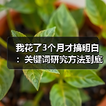 我花了3个月才搞明白:关键词研究方法到底该怎么做?(图4) 我花了3个月才搞明白:关键词研究方法到底该怎么做?(图4)