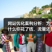 网站优化案例分析:为什么你花了钱,流量还是上不来?(图3) 网站优化案例分析:为什么你花了钱,流量还是上不来?(图3)