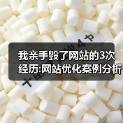 我亲手毁了网站的3次经历:网站优化案例分析(图3) 我亲手毁了网站的3次经历:网站优化案例分析(图3)