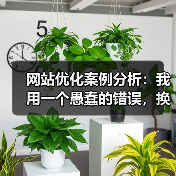 网站优化案例分析：我用一个愚蠢的错误，换来了44.7%的流量提升