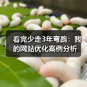 看完少走3年弯路：我的网站优化案例分析（图4）