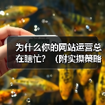 为什么你的网站运营总在瞎忙?(附实操策略)(图4) 为什么你的网站运营总在瞎忙?(附实操策略)(图4)