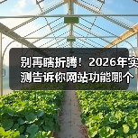 别再瞎折腾!2026年实测告诉你网站功能哪个好用(图4) 别再瞎折腾!2026年实测告诉你网站功能哪个好用(图4)