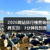2026网站排行榜查询工具实测:3分钟找到真实数据(图1) 2026网站排行榜查询工具实测:3分钟找到真实数据(图1)