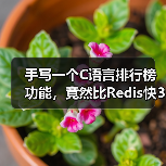 手写一个C语言排行榜功能,竟然比Redis快3倍?(图3) 手写一个C语言排行榜功能,竟然比Redis快3倍?(图3)