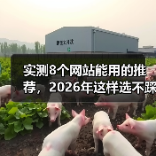 实测8个网站能用的推荐,2026年这样选不踩坑(图2) 实测8个网站能用的推荐,2026年这样选不踩坑(图2)