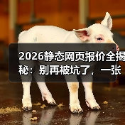 2026静态网页报价全揭秘:别再被坑了,一张表看懂真实成本(图4) 2026静态网页报价全揭秘:别再被坑了,一张表看懂真实成本(图4)