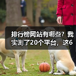 排行榜网站有哪些?我实测了20个平台,这6个最好用(图4) 排行榜网站有哪些?我实测了20个平台,这6个最好用(图4)