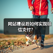 网站建设后如何实现微信支付?(图2) 网站建设后如何实现微信支付?(图2)