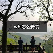 whl怎么安装