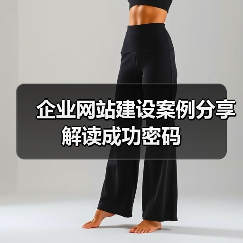 企业网站建设案例分享解读成功密码