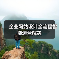企业网站设计全流程智能运营解决（图4）