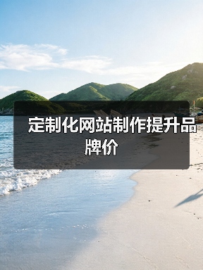 定制化网站制作提升品牌价（图3）