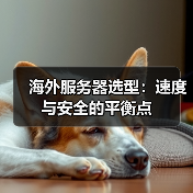 海外服务器选型:速度与安全的平衡点(图2) 海外服务器选型:速度与安全的平衡点(图2)