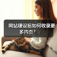 网站建设后如何收录更多内页?(图4) 网站建设后如何收录更多内页?(图4)