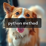 python method（图2）