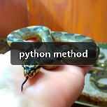 python method（图3）