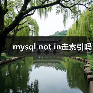 mysql not in走索引吗（图3）