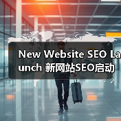 New Website SEO Launch 新网站SEO启动 从零开始 快速成长