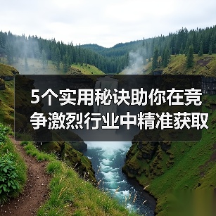 5个实用秘诀助你在竞争激烈行业中精准获取特色图片
