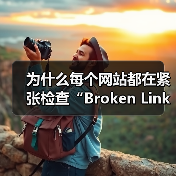 为什么每个网站都在紧张检查“Broken Link Checking 失效链接检查”？事实上，失