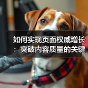 如何实现页面权威增长:突破内容质量的关键策略(图2) 如何实现页面权威增长:突破内容质量的关键策略(图2)