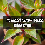 网站设计与用户体验全面提升策略