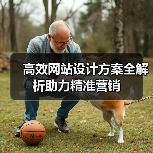 高效网站设计方案全解析助力精准营销(图3) 高效网站设计方案全解析助力精准营销(图3)