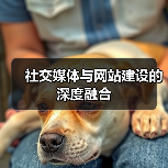 社交媒体与网站建设的深度融合(图2) 社交媒体与网站建设的深度融合(图2)