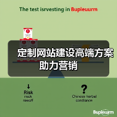 定制网站建设高端方案助力营销(图4) 定制网站建设高端方案助力营销(图4)