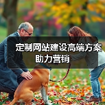定制网站建设高端方案助力营销