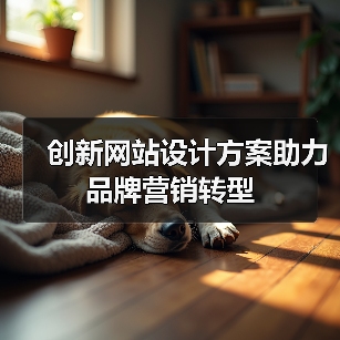 创新网站设计方案助力品牌营销转型(图3) 创新网站设计方案助力品牌营销转型(图3)