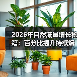 2026年自然流量增长秘籍：百分比提升持续爆发（图3）