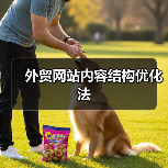 外贸网站内容结构优化法(图2) 外贸网站内容结构优化法(图2)