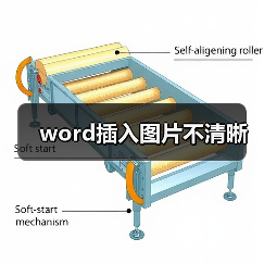 word插入图片不清晰（图3）