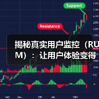 揭秘真实用户监控(RUM):让用户体验变得更极致(图4) 揭秘真实用户监控(RUM):让用户体验变得更极致(图4)