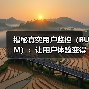 揭秘真实用户监控(RUM):让用户体验变得更极致(图2) 揭秘真实用户监控(RUM):让用户体验变得更极致(图2)