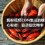 揭秘视频CDN集成的核心秘密:自适应比特率流媒体的革新之路(图3) 揭秘视频CDN集成的核心秘密:自适应比特率流媒体的革新之路(图3)