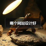 哪个网站设计好(图2) 哪个网站设计好(图2)