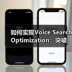 如何实现Voice Search Optimization：突破口与实战案例（图2）