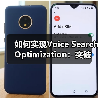 如何实现Voice Search Optimization：突破口与实战案例