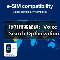 提升排名秘籍：Voice Search Optimization Case详解语音搜索优化实操（图3）