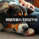 网站页面A/B测试平台(图3) 网站页面A/B测试平台(图3)