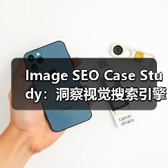 Image SEO Case Study：洞察视觉搜索引擎如何推动流量爆发
