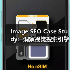Image SEO Case Study：洞察视觉搜索引擎如何推动流量爆发（图3）