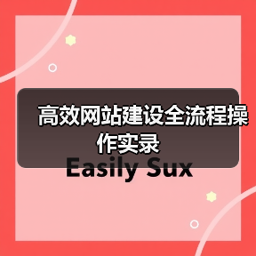 高效网站建设全流程操作实录(图2) 高效网站建设全流程操作实录(图2)