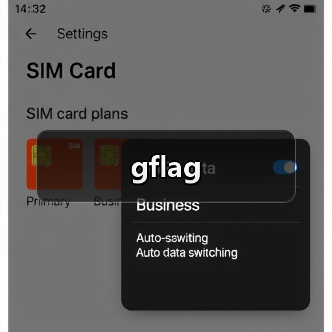gflag(图2) gflag(图2)