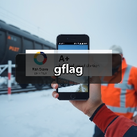 gflag(图1) gflag(图1)