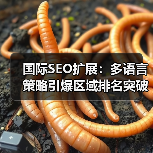 国际SEO扩展：多语言策略引爆区域排名突破（图2）