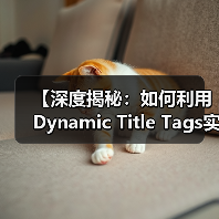 【深度揭秘:如何利用Dynamic Title Tags实现个性化内容优化】(图2) 【深度揭秘:如何利用Dynamic Title Tags实现个性化内容优化】(图2)
